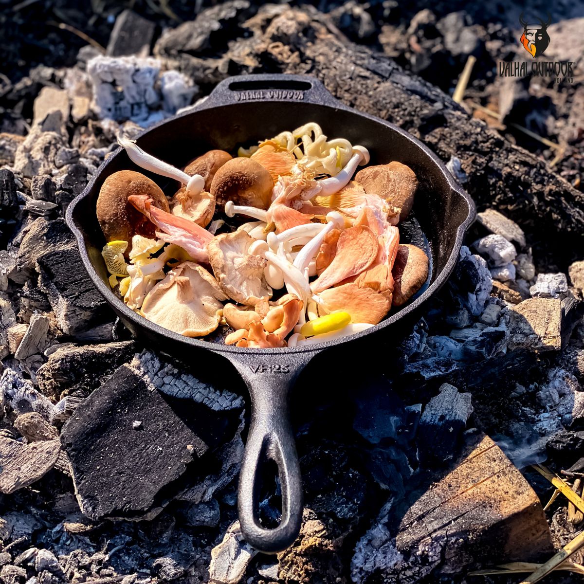 Valhal Dutch Oven koekenpan, VH25 centimeter